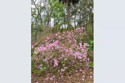 11651 NW 127 Lane, Chiefland, FL 32626 - Photo 16