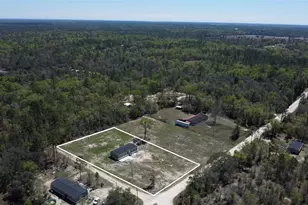 8251 NE 95th Ave, Bronson, FL 32621 - Photo 36