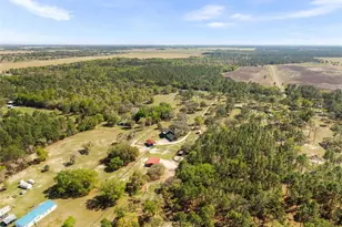 13791 SE 30th St, Morriston, FL 32668 - Photo 62