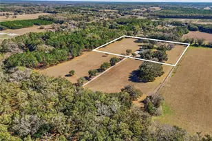 9115 NW 170th St, Alachua, FL 32615 - Photo 42