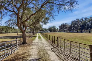 9115 NW 170th St, Alachua, FL 32615 - Photo 6