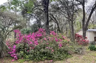 14890 SE 20 St, Morriston, FL 32668 - Photo 34