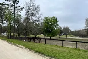 14890 SE 20 St, Morriston, FL 32668 - Photo 16