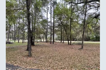 14890 SE 20th Street, Morriston, FL 32668 - Photo 14