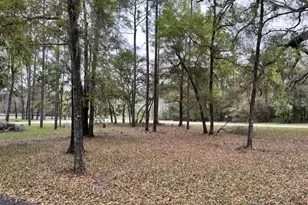 14890 SE 20 St, Morriston, FL 32668 - Photo 14