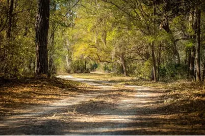 957 NE 354th Avenue, Old Town, FL 32680 - Photo 6