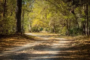 957 NE 354th Ave, Old Town, FL 32680 - Photo 6