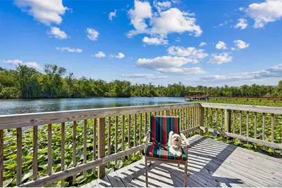 334 Paradise Circle, Satsuma, FL 32189 - Photo 6
