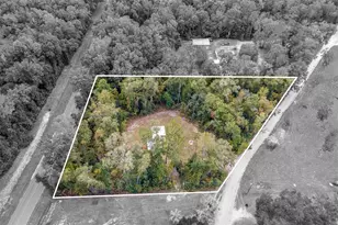 341 SW Yale Terrace, Fort White, FL 32038 - Photo 38