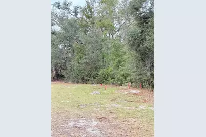 445 NE 544th Street, Old Town, FL 32680 - Photo 12