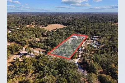 445 NE 544th Street, Old Town, FL 32680 - Photo 4