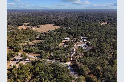 445 NE 544th Street, Old Town, FL 32680 - Photo 10