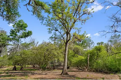 [Address not provided], Old Town, FL 32680 - Photo 1