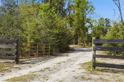 29578 SW 63rd Avenue, Newberry, FL 32669 - Photo 6