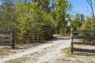 29578 SW 63rd Ave, Newberry, FL 32669 - Photo 6