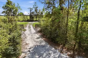 29578 SW 63rd Ave, Newberry, FL 32669 - Photo 10