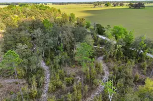 29578 SW 63rd Ave, Newberry, FL 32669 - Photo 40