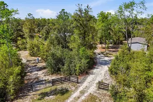 29578 SW 63rd Ave, Newberry, FL 32669 - Photo 4