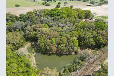 3095 County Road 202, Oxford, FL 34484 - Photo 6