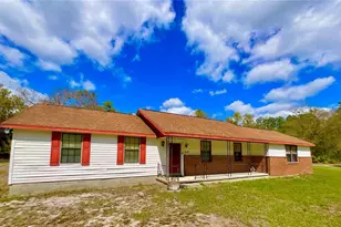 2569 SE 50th St, Keystone Heights, FL 32656 - Photo 4