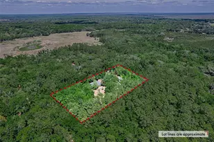 15522 SW 75th St, Archer, FL 32618 - Photo 48