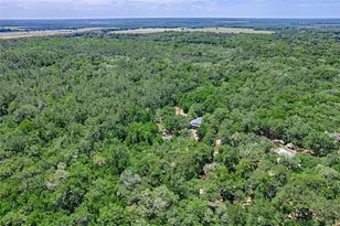 15522 SW 75th St, Archer, FL 32618 - Photo 44