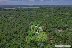 15522 SW 75th St, Archer, FL 32618 - Photo 50