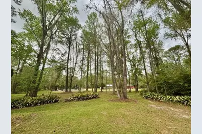 18917 NW County Road 239, Alachua, FL 32615 - Photo 52