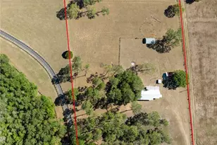 13296 SW County Rd 231, Brooker, FL 32622 - Photo 6