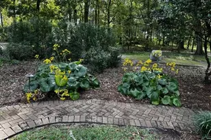 2006 NW 23rd St, Gainesville, FL 32605 - Photo 36