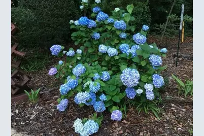 2006 NW 23rd Street, Gainesville, FL 32605 - Photo 38