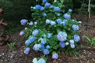 2006 NW 23rd St, Gainesville, FL 32605 - Photo 38