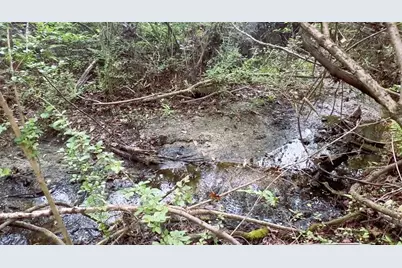 10350 Deer Run, White Springs, FL 32096 - Photo 62