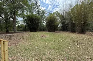 5613 NW 202 Pl, Alachua, FL 32615 - Photo 6