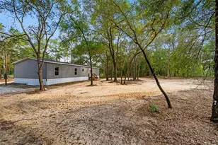 8050 NE 102nd Ct, Bronson, FL 32621 - Photo 38