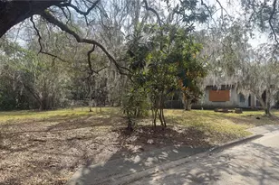 325 NE 19th St, Gainesville, FL 32641 - Photo 6