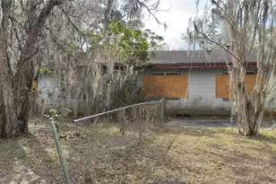 325 NE 19th St, Gainesville, FL 32641 - Photo 4