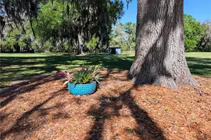 21840 NW 218th Terrace, High Springs, FL 32643 - Photo 76