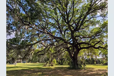 21840 NW 218th Terrace, High Springs, FL 32643 - Photo 94