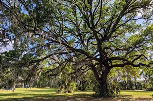 21840 NW 218th Terrace, High Springs, FL 32643 - Photo 94