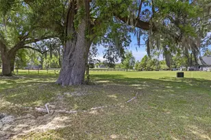 17256 NW 250th Way, High Springs, FL 32643 - Photo 46