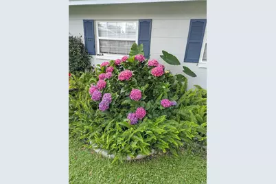 228 SE Oak Hill Street, Lake City, FL 32025 - Photo 6