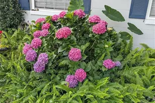 228 SE Oak Hill St, Lake City, FL 32025 - Photo 6