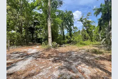 7157 NW 120th Street, Chiefland, FL 32626 - Photo 30