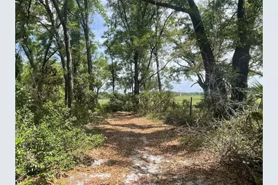 7157 NW 120th Street, Chiefland, FL 32626 - Photo 28