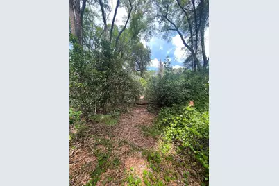 7157 NW 120th Street, Chiefland, FL 32626 - Photo 26