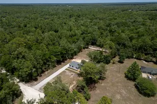 6951 NE 104th Ct, Bronson, FL 32621 - Photo 34