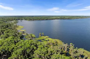332 SE 3rd Ave, Melrose, FL 32666 - Photo 10