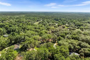 332 SE 3rd Ave, Melrose, FL 32666 - Photo 6