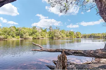 7870 SW 25th Place, Bell, FL 32619 - Photo 46